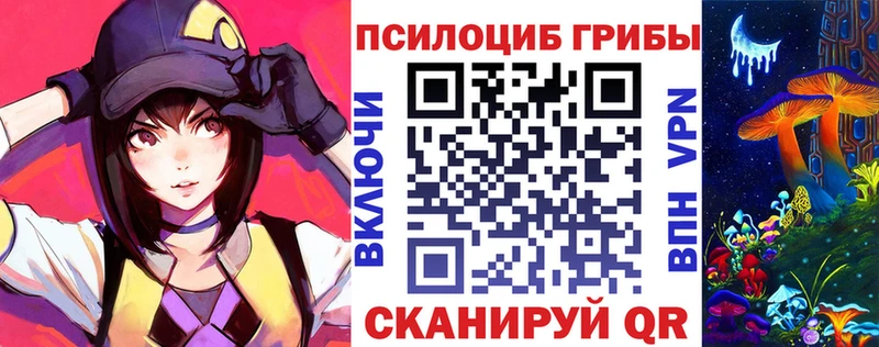 Псилоцибиновые грибы Cubensis  купить наркоту  Щёлково 